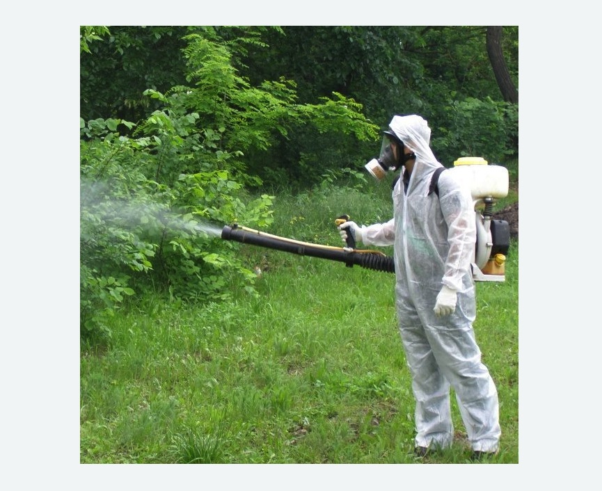 обработка территории от клещей в Заводоуковске