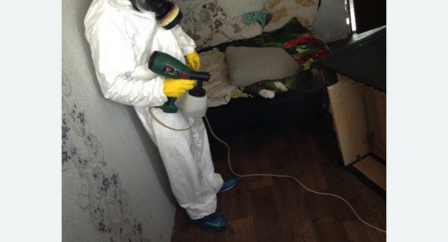 Обработка квартир от насекомых в Заводоуковске