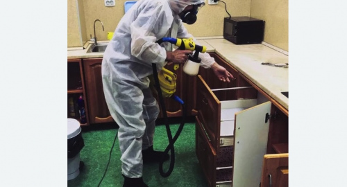 Дезинсекция квартиры. Заводоуковск