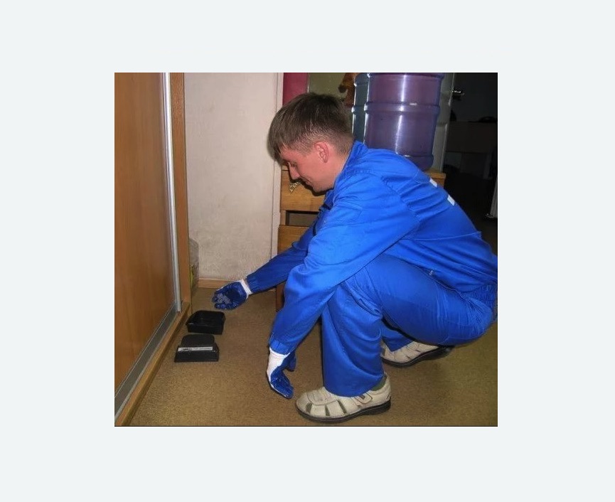 Дератизация крыс в Заводоуковске