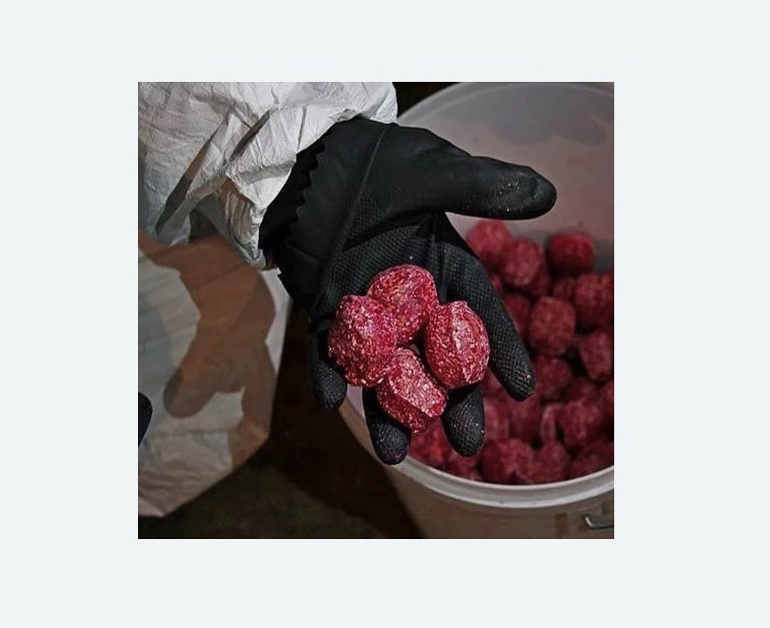 Обработка от крыс в Заводоуковске