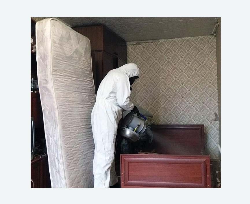 дезинфекция от клопов в Заводоуковске