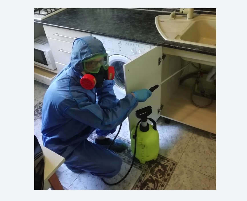 обработка от муравьев в квартире в Заводоуковске