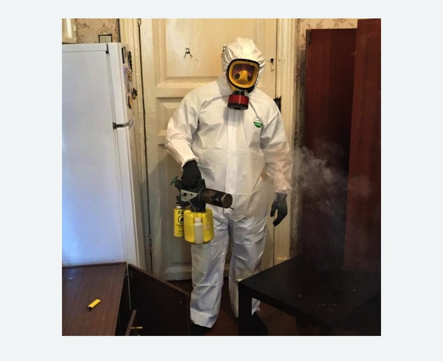 уничтожение муравьев в квартире в Заводоуковске